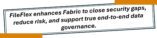 FileFlex enhances Fabric to close security gaps, reduce risk, and support true end-to-end data governance.