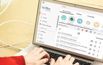 The FileFlex Enterprise Commercial Platform for Zero Trust Data Access