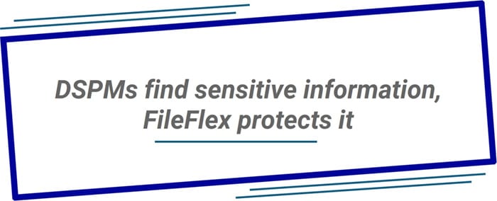 DSPMs find sensitive information, FileFlex protects it