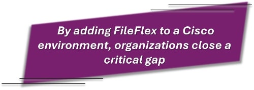 By adding FileFlex to a Cisco environment, organizations close a critical gap